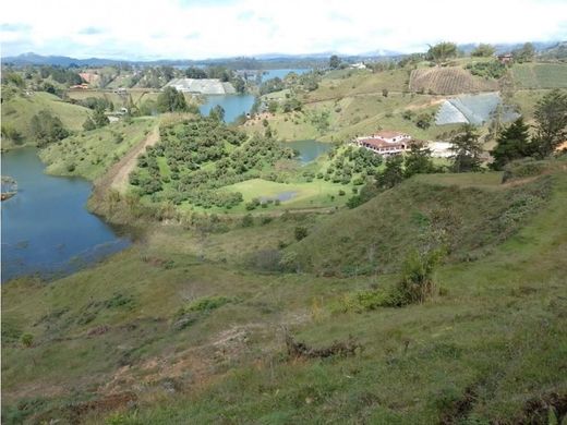 토지 / El Peñol, Yarumal