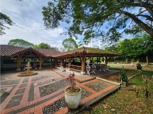 토지 / Armenia, Quindío Department