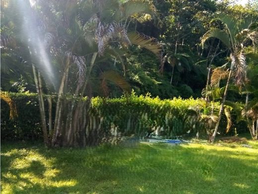 أرض ﻓﻲ Cocorná, Departamento de Antioquia