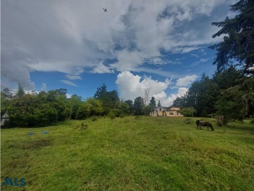 ‏קרקע ב  Rionegro, Departamento de Antioquia