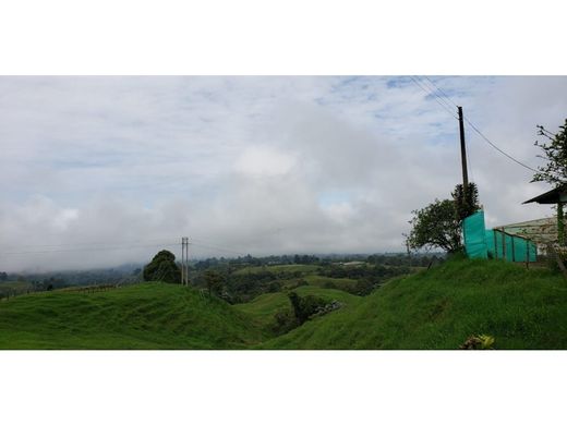 Ferme à Filandia, Quindío Department