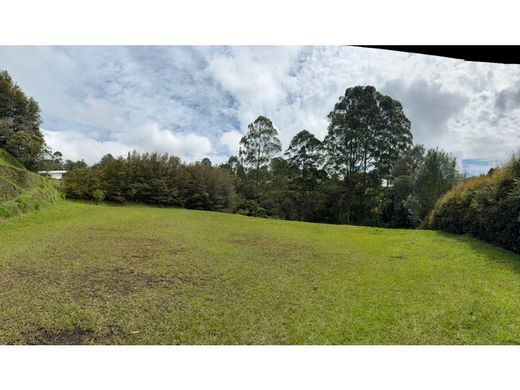 Terrain à Rionegro, Departamento de Antioquia