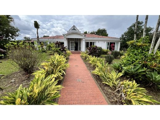 Propriété de campagne à La Tebaida, Quindío Department