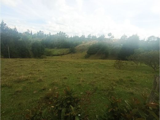 Grundstück in Rionegro, Departamento de Antioquia