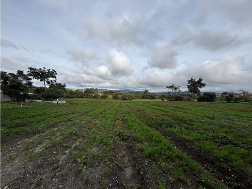 ‏קרקע ב  מדיין
, Medellín