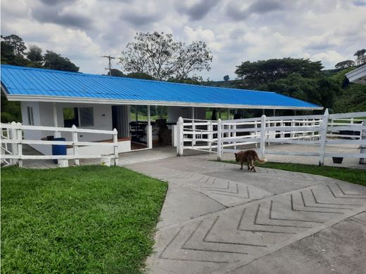 Rustik ya da çiftlik La Tebaida, Quindío Department