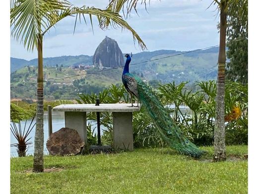 Gospodarstwo w Guatapé, Departamento de Antioquia