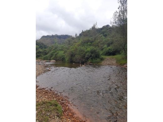 Αγροτεμάχιο σε Concepción, Departamento de Antioquia