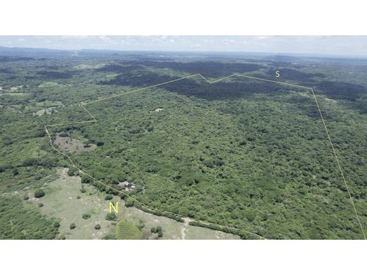 토지 / Cartagena, Cartagena de Indias