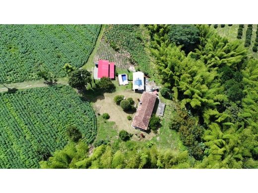 Ferme à La Tebaida, Quindío Department