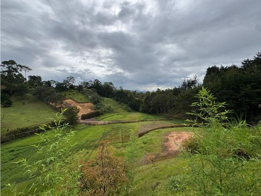 Land in Rionegro, Departamento de Antioquia