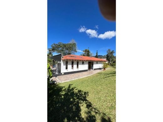 Ferme à La Ceja, Departamento de Antioquia