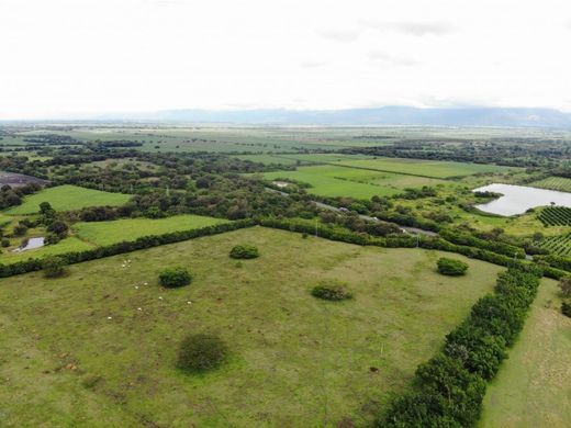 ﻣﻨﺰﻝ ﺭﻳﻔﻲ/ ﺑﻴﺖ ﻤﺰﺭﻋﺔ ﻓﻲ Zarzal, Departamento del Valle del Cauca