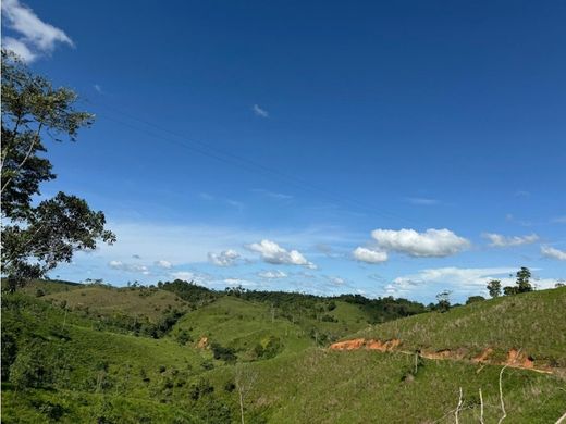 Ferme à Remedios, Departamento de Antioquia