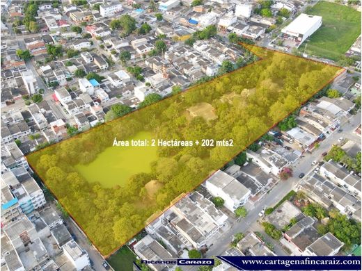 Cartagena, Cartagena de Indiasの土地