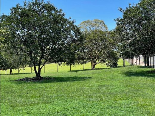 Teren w Rionegro, Departamento de Antioquia