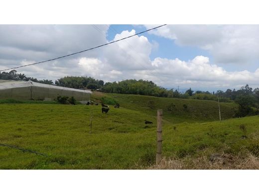 Rustik ya da çiftlik Filandia, Quindío Department