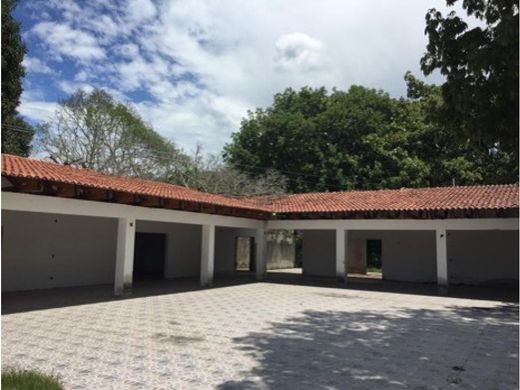 Suárez, Departamento de Tolimaのカントリー風またはファームハウス