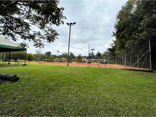 Terreno - Rionegro, Departamento de Antioquia