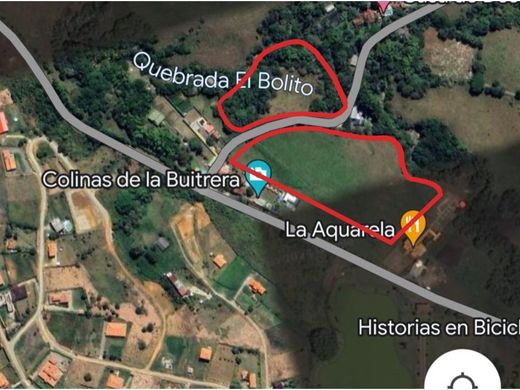 Arsa Palmira, Departamento del Valle del Cauca