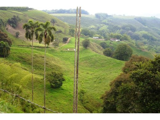 Boerderij in Montenegro, Quindío Department