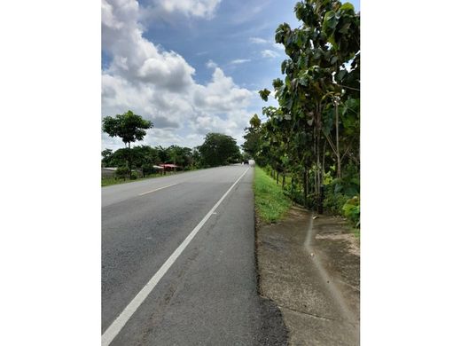 Farmhouse in Chigorodó, Departamento de Antioquia