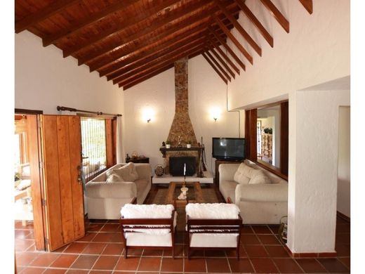 Rustik ya da çiftlik Rionegro, Departamento de Antioquia