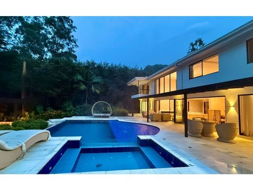 호화 저택 / 메데인, Medellín