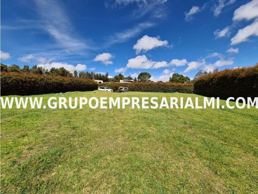 Teren w Envigado, Departamento de Antioquia