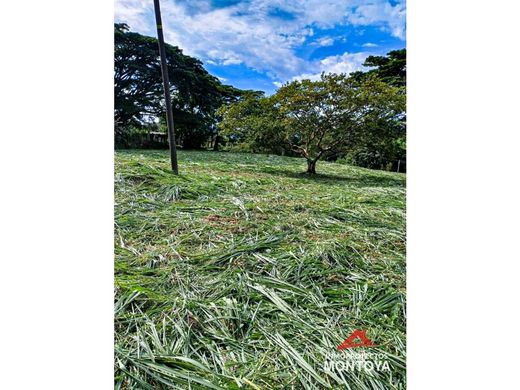 Grond in Pereira, Departamento de Risaralda