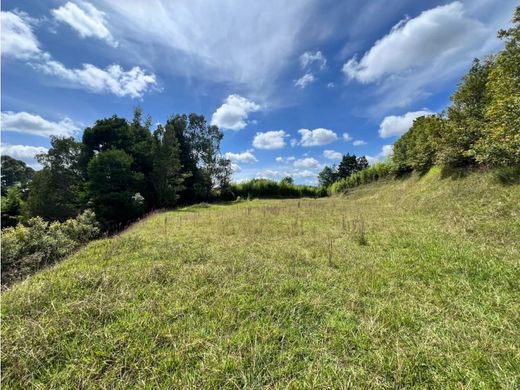 Land in Rionegro, Departamento de Antioquia