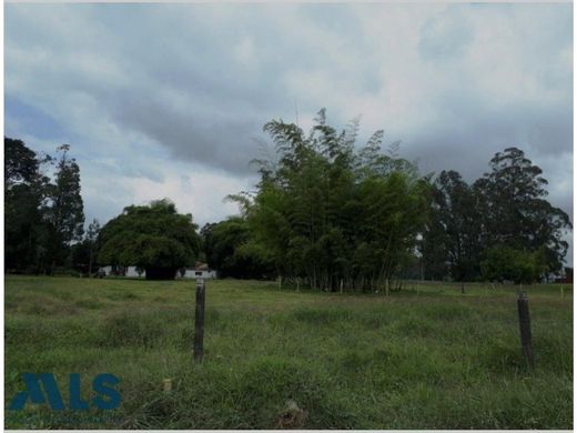 Αγροτεμάχιο σε Rionegro, Departamento de Antioquia