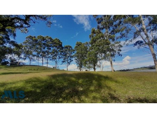 Land in El Bagre, Departamento de Antioquia