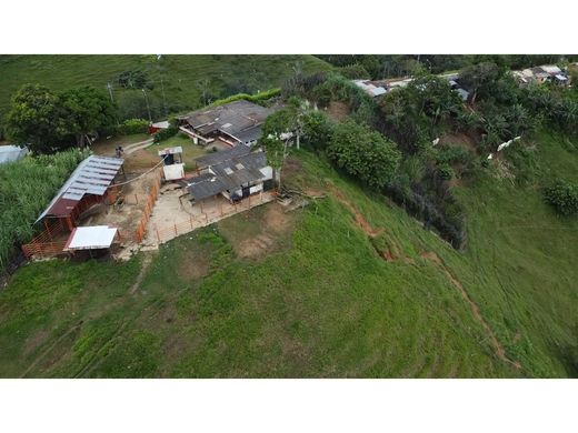 ‏בתים כפריים או חוות ב  Maceo, Departamento de Antioquia