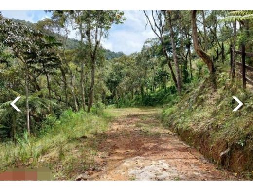 أرض ﻓﻲ Envigado, Departamento de Antioquia