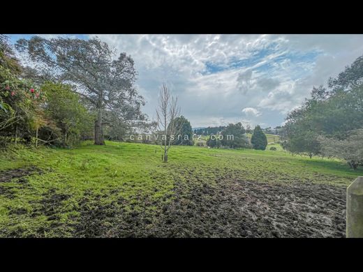 Arsa Envigado, Departamento de Antioquia