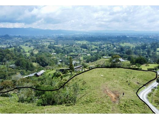 Arsa Rionegro, Departamento de Antioquia