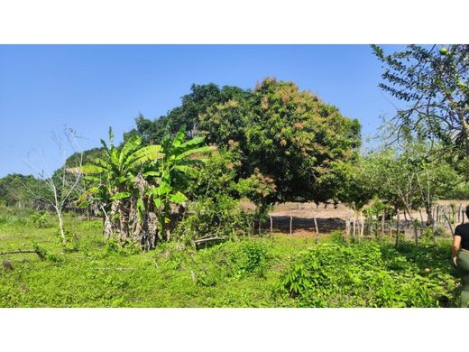 Terrain à Santo Tomás, Departamento del Atlántico