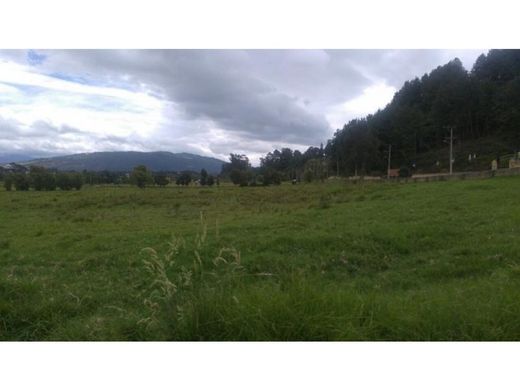Land in Palmira, Departamento del Valle del Cauca