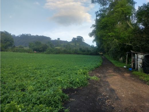 Farmhouse in Subachoque, Cundinamarca