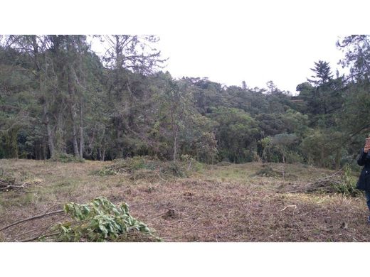 Terreno a Envigado, Departamento de Antioquia