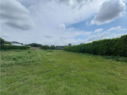 Terrain à Cali, Departamento del Valle del Cauca