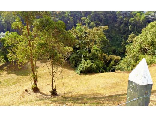 Terreno en Manizales, Departamento de Caldas