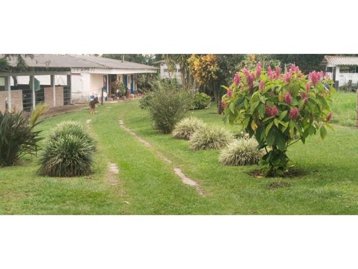 Rustik ya da çiftlik Montenegro, Quindío Department