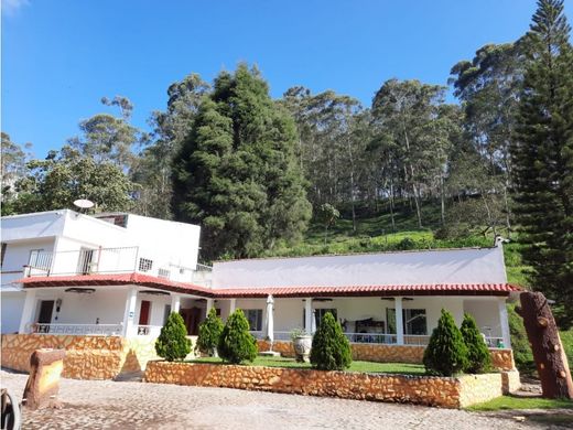 Rustik ya da çiftlik Caldas, Departamento de Antioquia