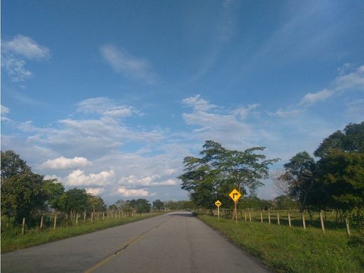 Сельский Дом, Tauramena, Departamento de Casanare