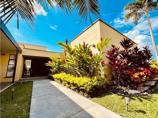 Propriété de campagne à La Tebaida, Quindío Department