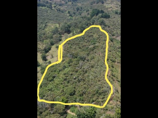 Arsa Copacabana, Departamento de Antioquia