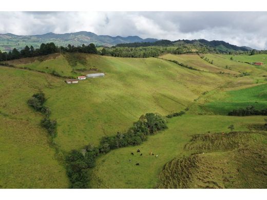 Rustykalny lub Wiejski w La Unión, Departamento de Antioquia