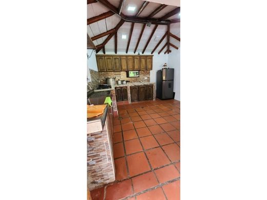 전원/농가 / Guatapé, Departamento de Antioquia